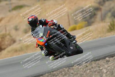 media/Nov-04-2023-2WTD (Sat) [[147bbb9217]]/B Group/1220pm (Outside Turn 2)/